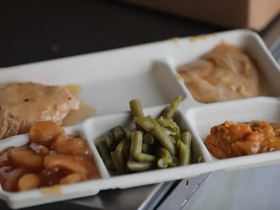 Turkey with green beans and a little mash